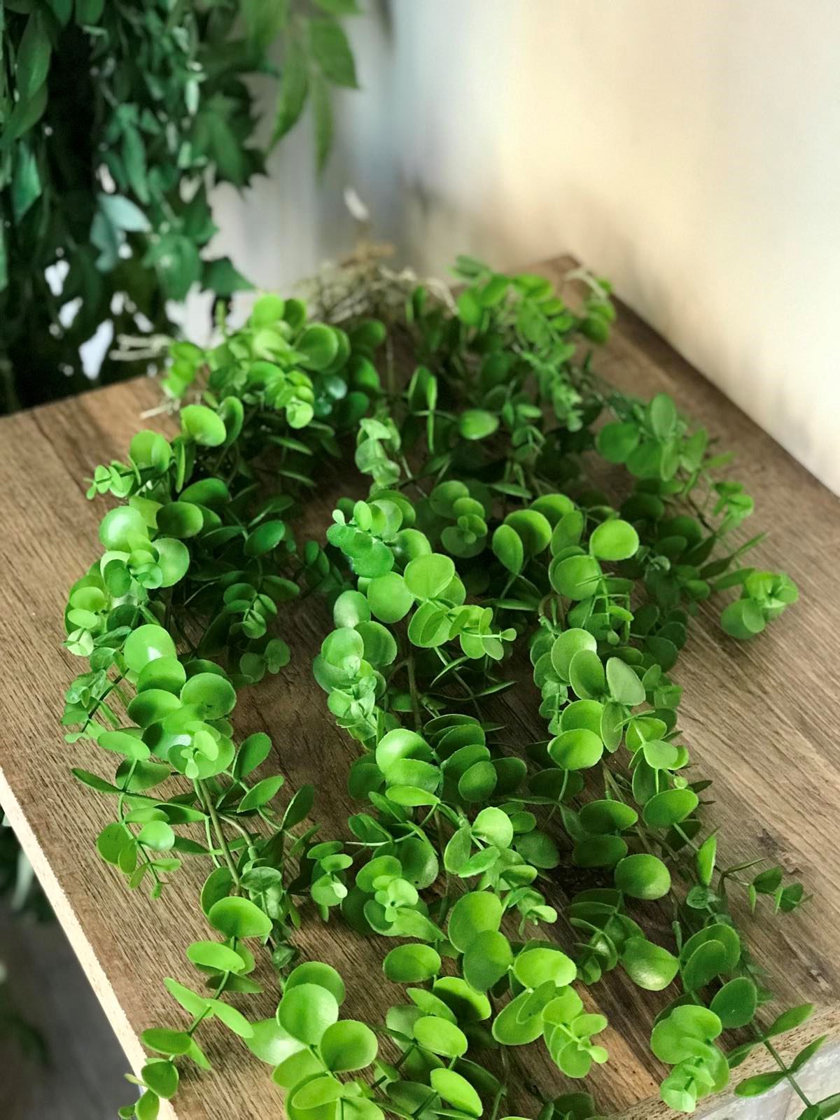 Штучний  Самшит Великий кущ з корінцями Ампельний зелений